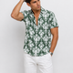 B61554 Verde